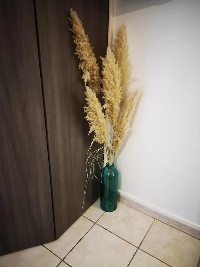 Appartement Le Cosy de l'île à Avignon 0*,